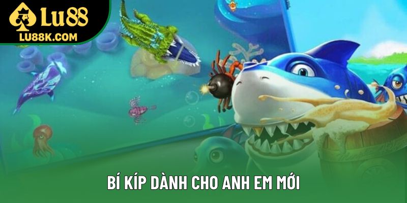 Bí kíp dành cho anh em mới Bí kíp dành cho anh em mới