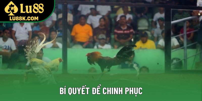 Bí quyết để chinh phục Bí quyết để chinh phục