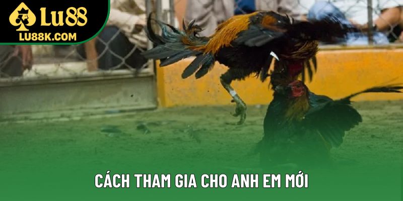 Cách tham gia cho anh em mới Cách tham gia cho anh em mới