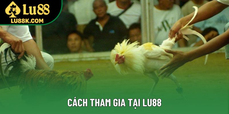 Cách tham gia tại Lu88 Cách tham gia tại Lu88