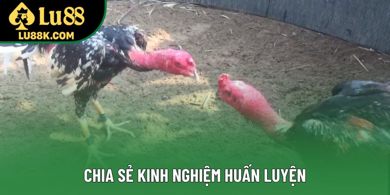 Chia sẻ kinh nghiệm huấn luyện Chia sẻ kinh nghiệm huấn luyện