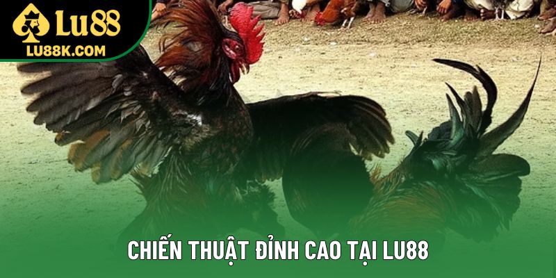 Chiến thuật đỉnh cao tại Lu88 Chiến thuật đỉnh cao tại Lu88