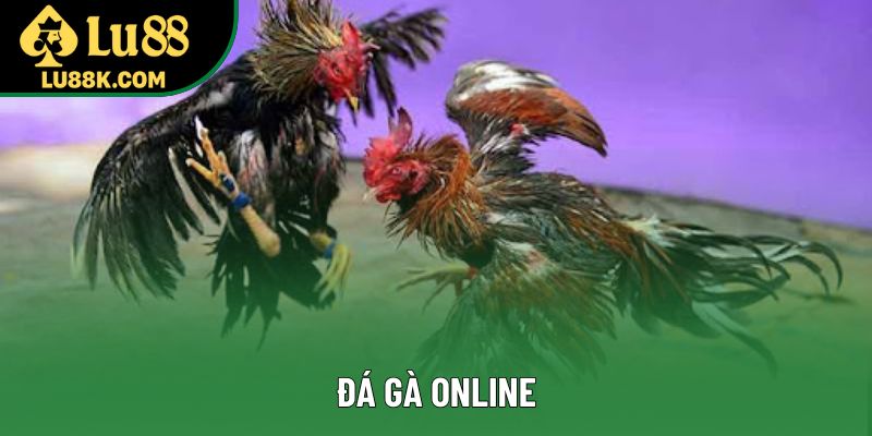 Đá Gà Online - Khám Phá Thế Giới Giải Trí Đầy Kịch Tính