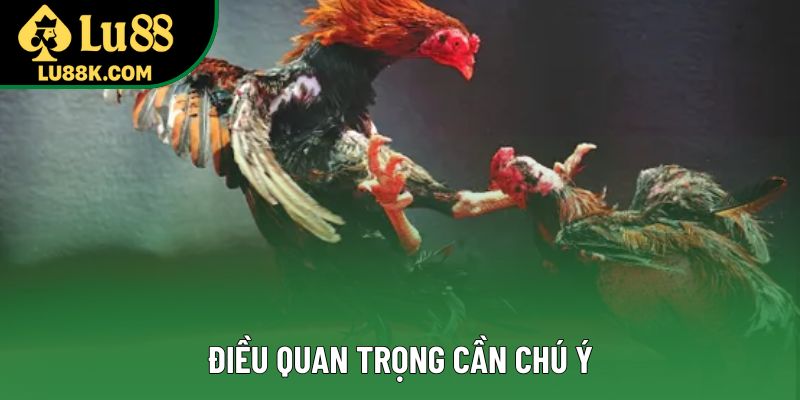 Điều quan trọng cần chú ý Điều quan trọng cần chú ý