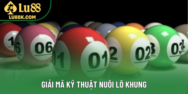 Giải mã kỹ thuật nuôi lô khung Giải mã kỹ thuật nuôi lô khung