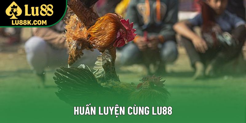 Huấn luyện cùng Lu88 Huấn luyện cùng Lu88